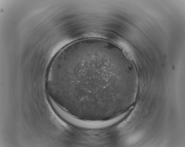 X0000088031141200705182019