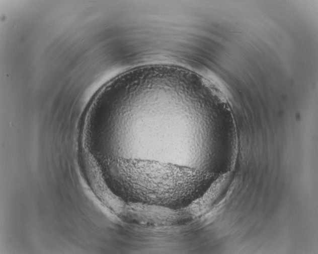 X0000088031142200705182019