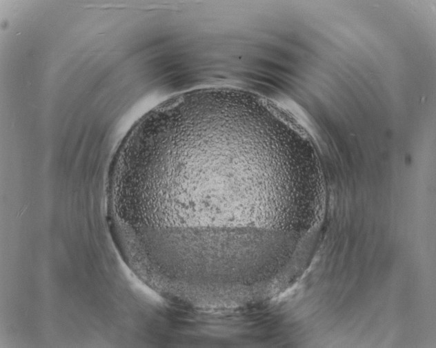 X0000088031143200705182019