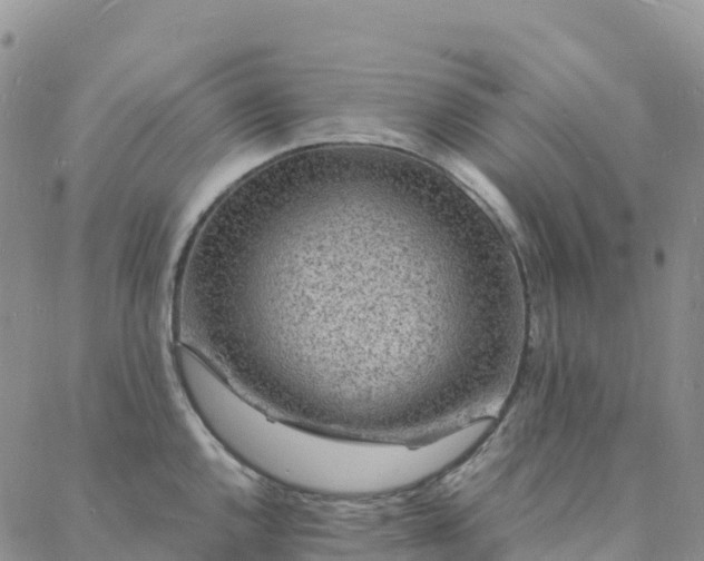 X0000088031144200705182019