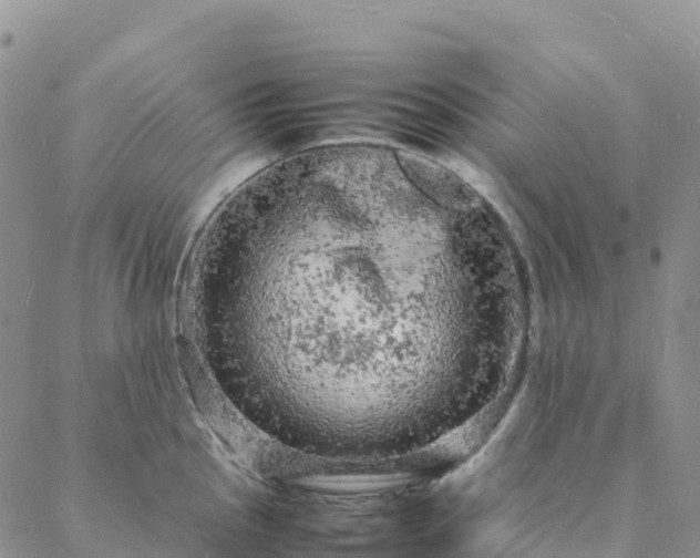 X0000088031145200705182019