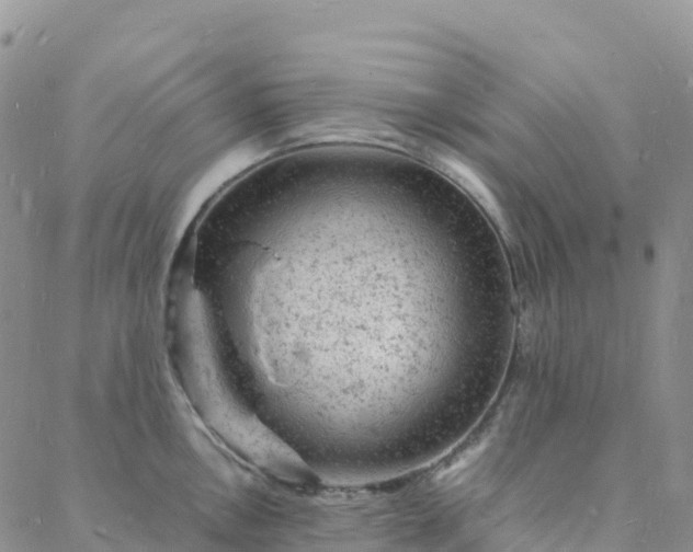 X0000088031146200705182019