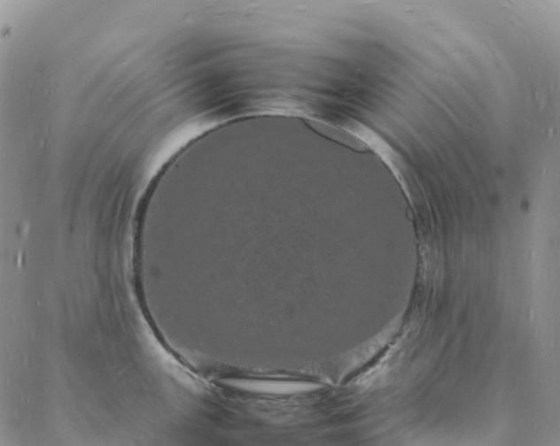 X0000088031147200705182019