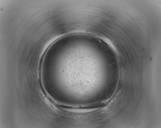 X0000088031148200705182019