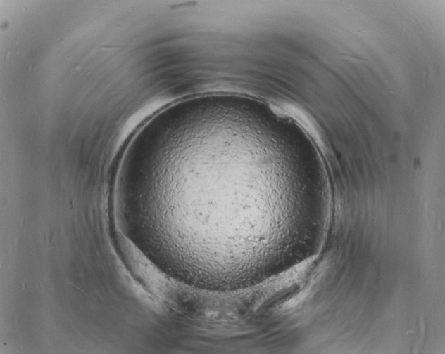 X0000088031149200705182019