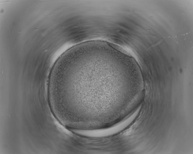 X0000088031151200705182019