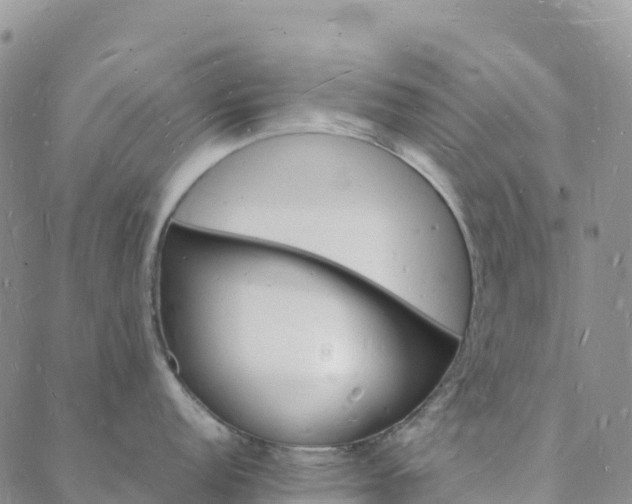 X0000088031152200705182019