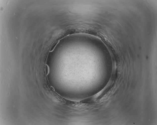 X0000088031153200705182018