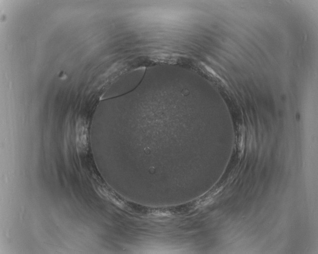 X0000088031154200705182018