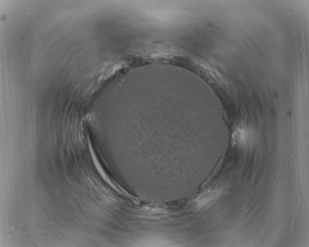 X0000088031156200705182018