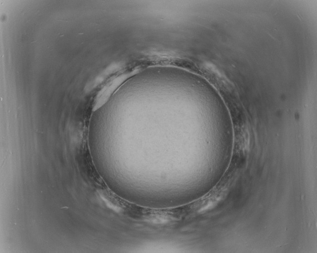 X0000088031157200705182018