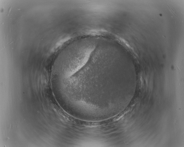 X0000088031158200705182018