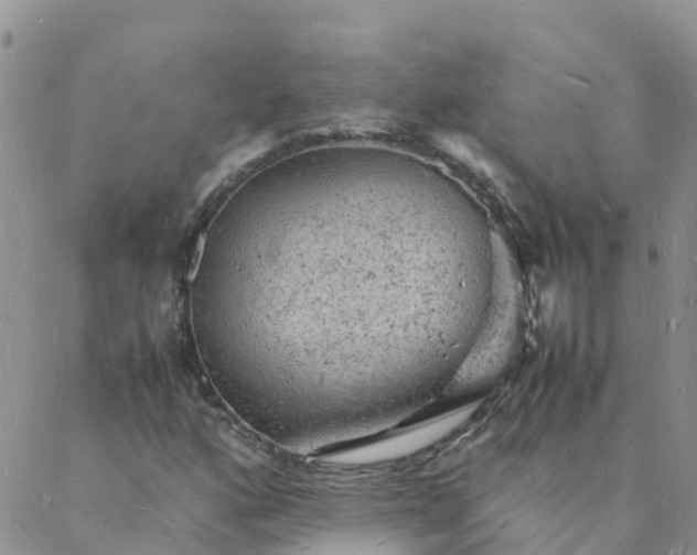 X0000088031160200705182018