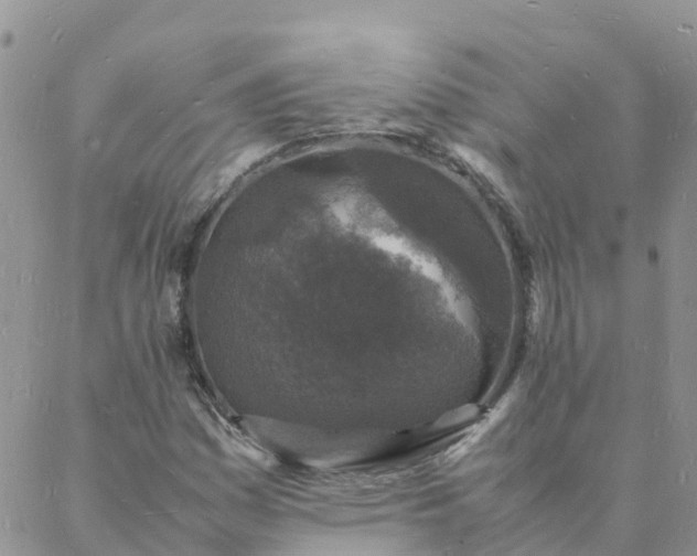 X0000088031161200705182018