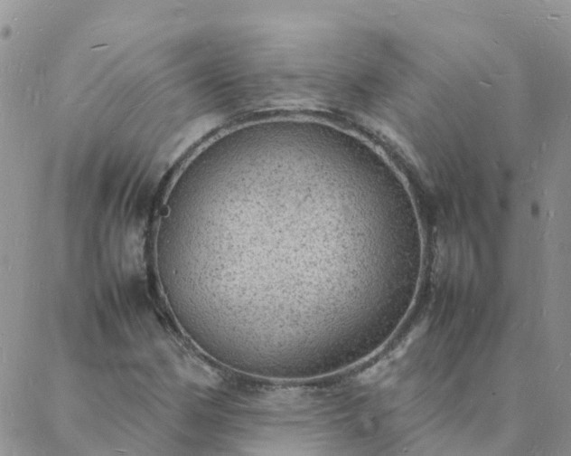 X0000088031162200705182018