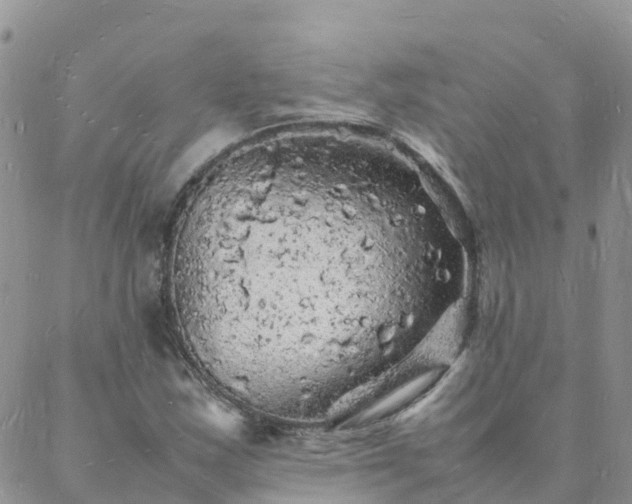 X0000088031163200705182018