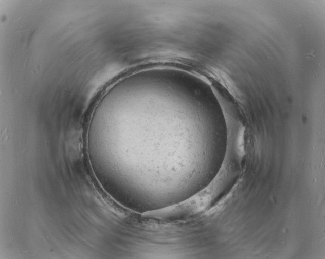 X0000088031164200705182018