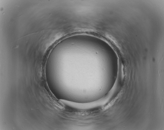 X0000088031165200705182018