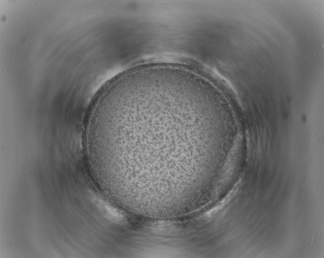 X0000088031166200705182018