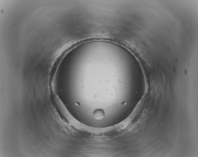 X0000088031168200705182018