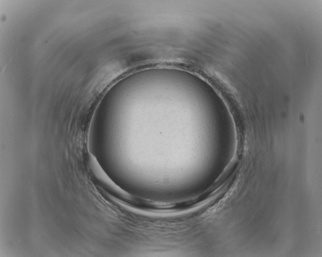 X0000088031169200705182018