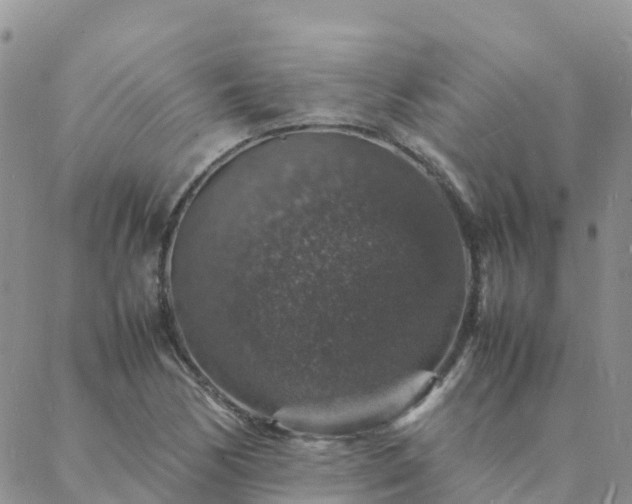 X0000088031170200705182018