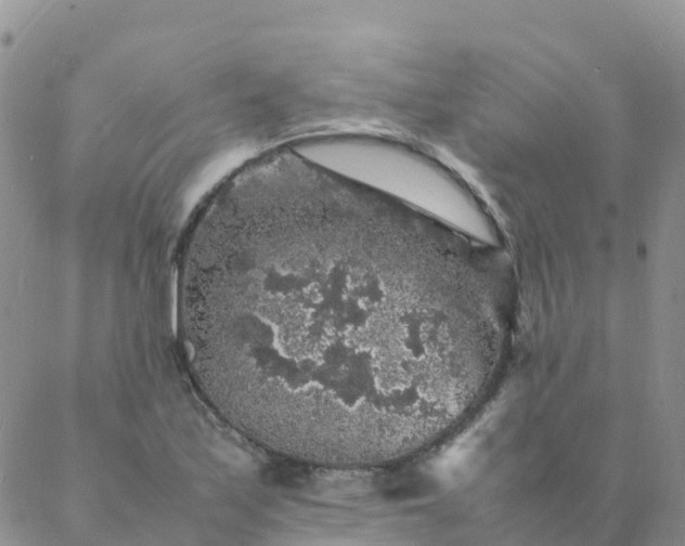 X0000088031171200705182018