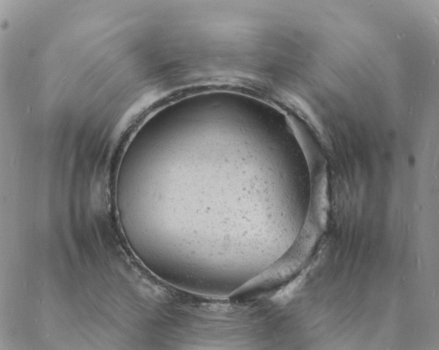 X0000088031172200705182018