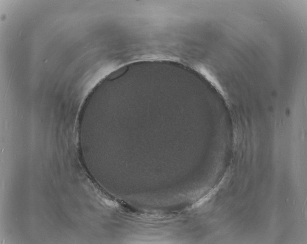 X0000088031173200705182018