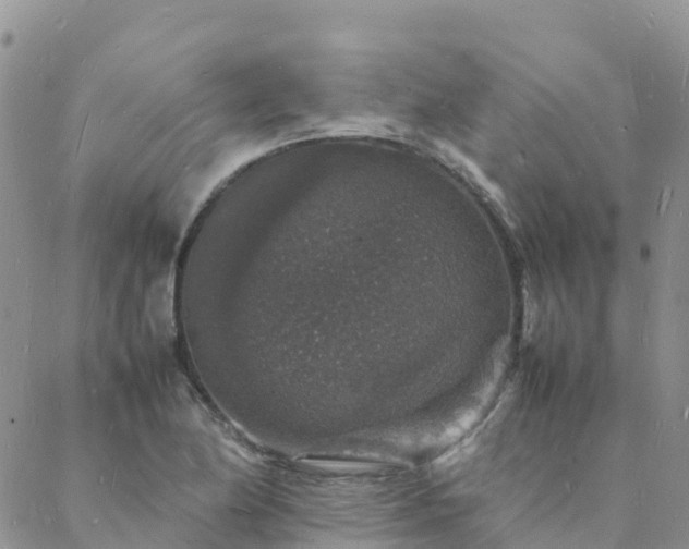 X0000088031174200705182018