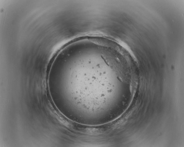 X0000088031176200705182018