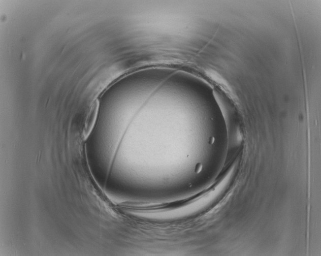 X0000088031177200705182018