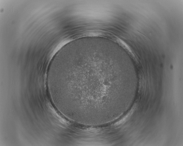 X0000088031178200705182018