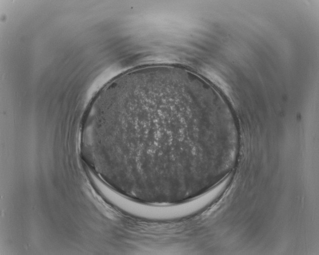 X0000088031179200705182018