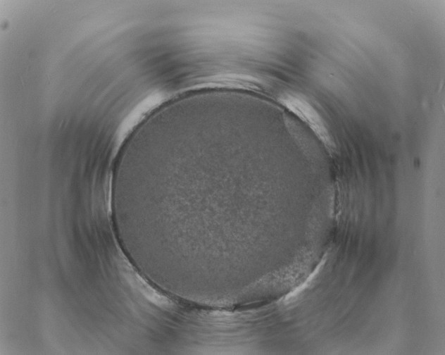 X0000088031180200705182018