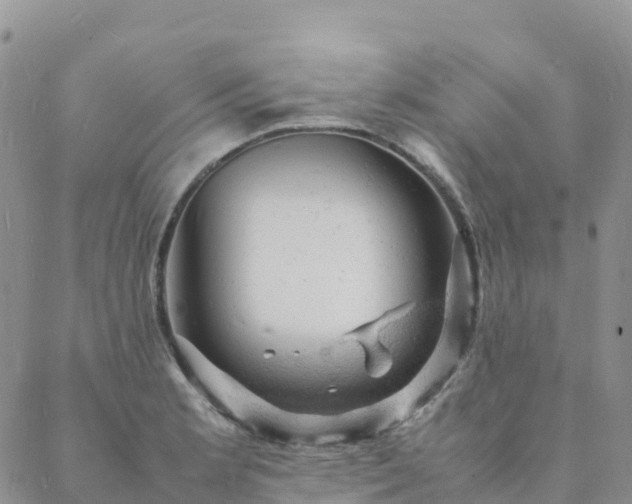 X0000088031181200705182018