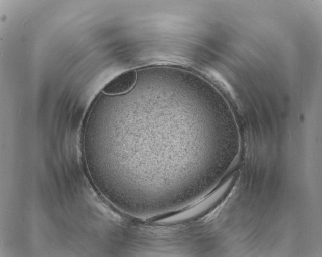 X0000088031182200705182018