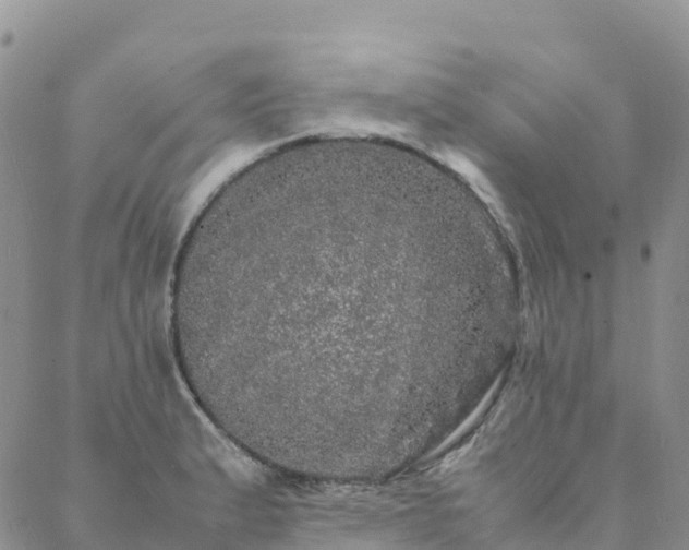 X0000088031183200705182018