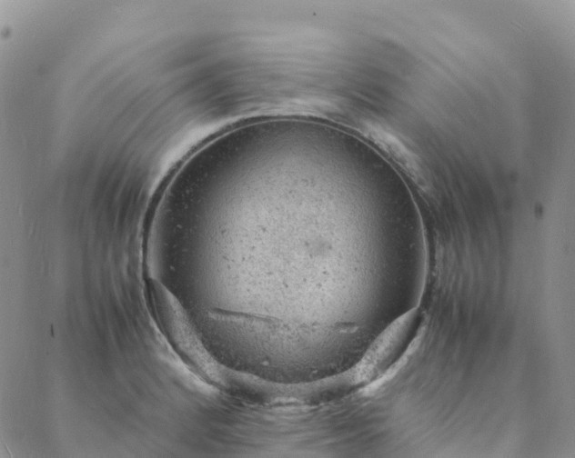 X0000088031184200705182018