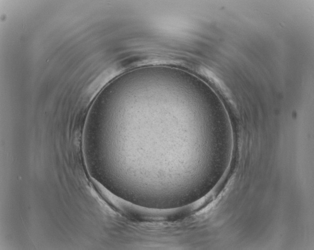 X0000088031185200705182018