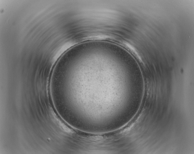 X0000088031186200705182018