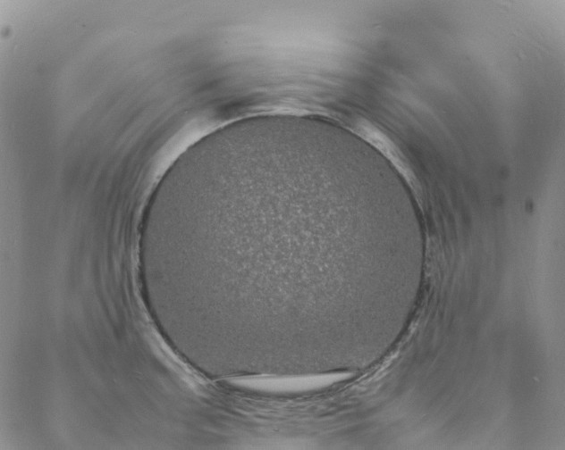 X0000088031187200705182018