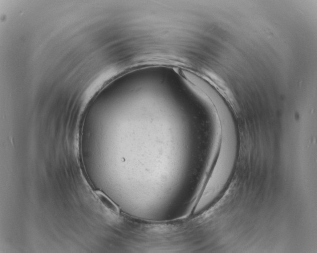 X0000088031188200705182018