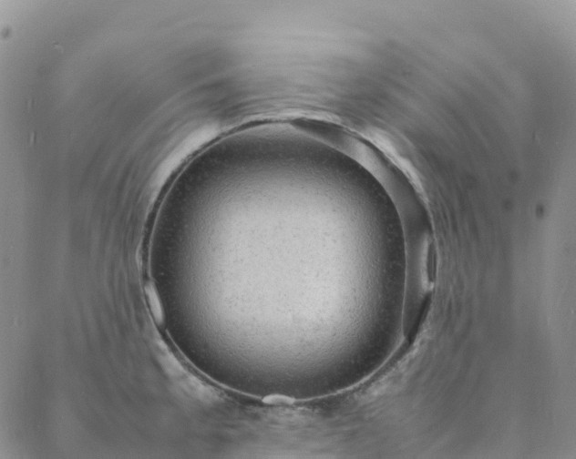 X0000088031189200705182018