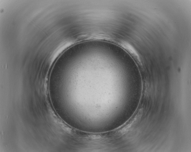 X0000088031190200705182018