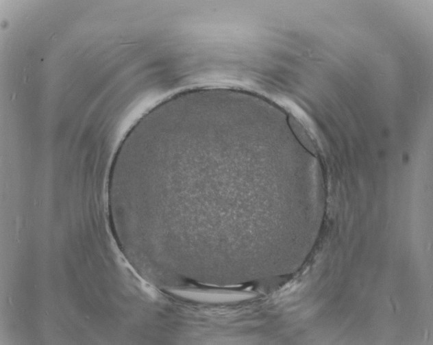 X0000088031191200705182018