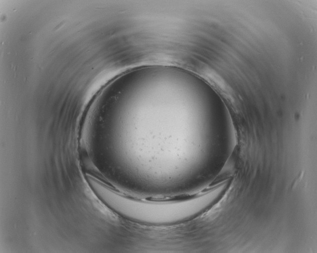 X0000088031192200705182018