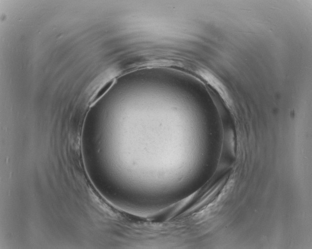 X0000088031193200705182018