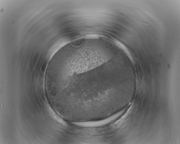 X0000088031194200705182018