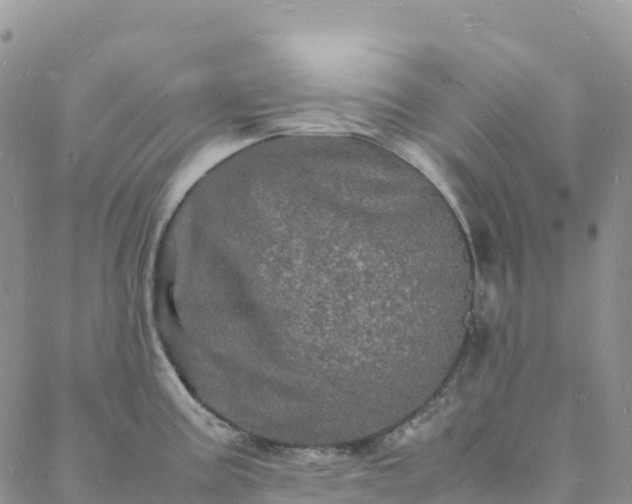 X0000088031195200705182018